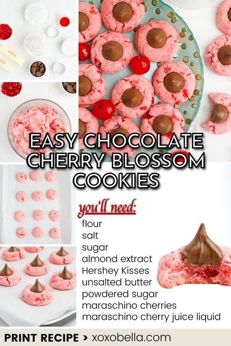 BellaBucchiotti - Chocolate cherry blossom cookies pair the sweet,... | Facebook Chocolate Cherry Blossom Cookies, Cherry Blossom Cookies, Cherry Cookies Recipes, Chocolate Cherry Cookies, Cherry Cookies, Blossom Cookies, Chocolate Cherry, Cookie Recipe, The Sweet