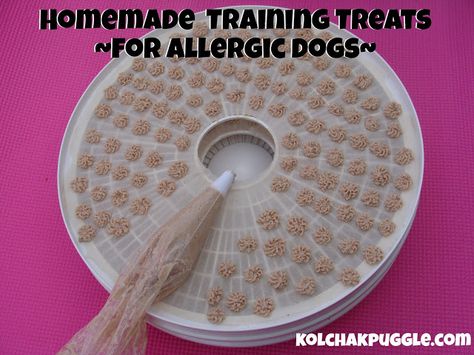 Homemade Training Treats for Dogs - ground meat of choice and a piping bag. So doing this for Rukia! Dehydrator Dog Treats, Fu Dog, Canned Dog Food, Diy Dog Treats, Food Dog, Puppy Treats, Snacks Saludables, Dog Allergies, Dog Cookies