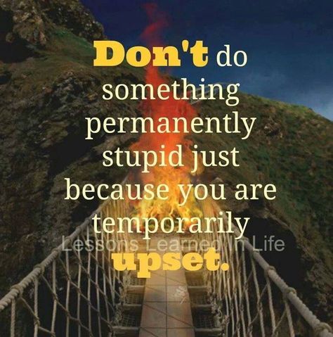 Do not make hasty decisions Burning Bridges Quotes, Bridge Quotes, Optimist Quotes, Burning Bridges, Lessons Learned In Life, A Bridge, Living Life, Quotable Quotes, Lessons Learned