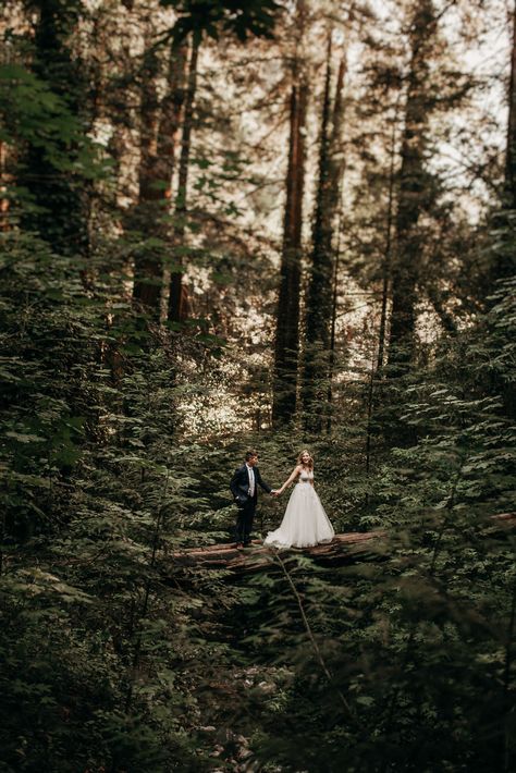 Elopement photographers PNW Big Sur Elopement, Carmel Weddings, Earthy Wedding, Big Sur California, Forest Photos, Adventure Photography, Elopement Locations, Adventure Wedding, Woodland Wedding