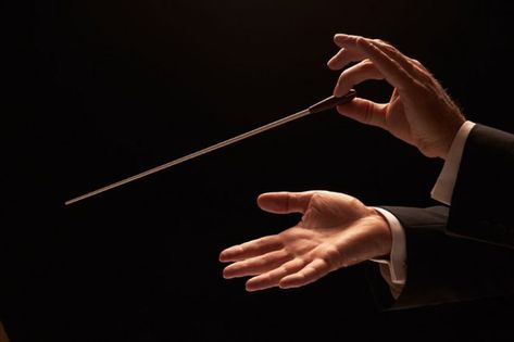 Conductor Batons, Orchestra Conductor, Hand Reference, Summer Concert, Symphony Orchestra, Music Aesthetic, Anatomy Reference, Music Education, Young Artist