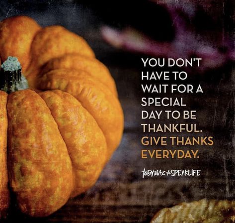 Tobymac Speak Life, Positive Living Quotes, Toby Mac, Blessed Thanksgiving, November Quotes, Team Quotes, Thanksgiving Prayer, Thankful Quotes, Whatever Is True