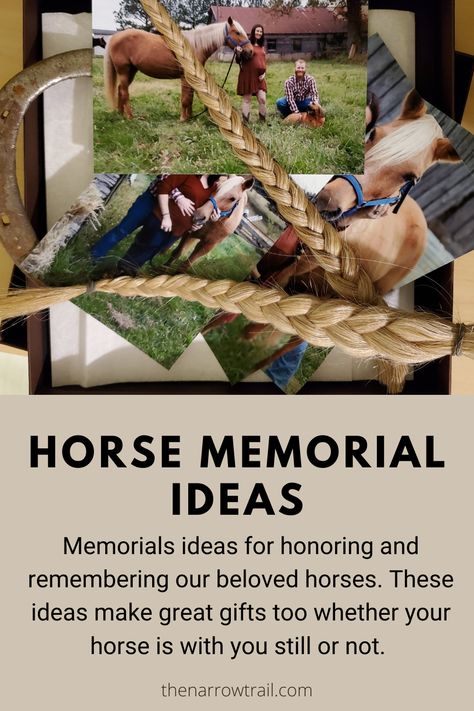 Horse Tail Shadow Box Ideas, Horse Halter Memorial, Things To Do With Horse Hair, Horse Grave Ideas, Horse Tail Keepsake, Things To Make With Horse Hair, Horse Hair Memory Ideas, What To Do With Horse Hair, Horse Memory Ideas