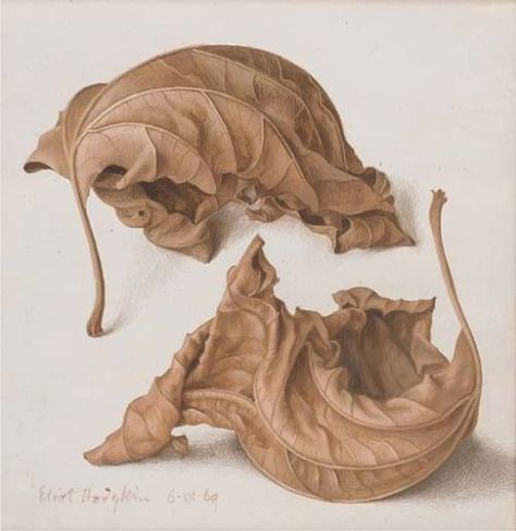 Goblin Market, Flower Petal Art, Leaves Sketch, Dead Leaves, Art Alevel, Leaf Drawing, Botanical Drawings, Leaf Art, Tempera