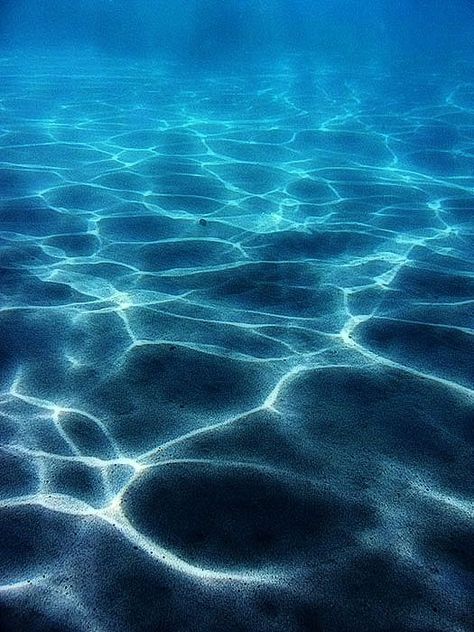 Light dancing underwater. Impossible not to look at this and get inspired to protect this beautiful planet. Underwater Photography, Sea And Ocean, Underwater World, Ocean Life, Ocean Waves, Belle Photo, Sea Life, Blue Sea, Beach Life