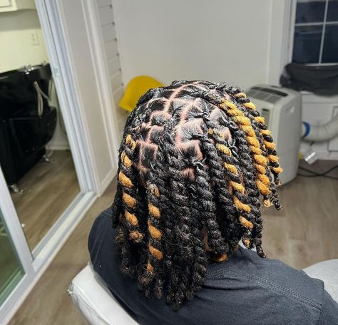 Twist Dreads Hairstyles, Taper Dreads Men, Color Dreads Black Man, Skunk Stripe Dread Locs, Dyed Hair Locs, Styles For Dreads Men, Skunk Stripe Dreads, Reverse Ombre Locs, Locs With Highlights