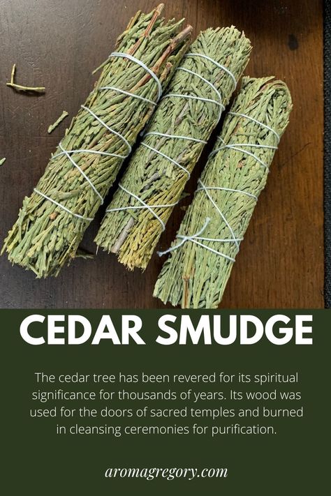 The cedar tree has been revered for its spiritual significance for thousands of years. Its wood was used for the doors of sacred temples and burned in cleansing ceremonies for purification. Cedar has a long history of use in indigenous sweat lodge ceremonies and the tree was thought to house important gods and to be an entrance to higher spiritual realms. Indigenous Practices, Cedar Smudge Sticks, Cedar Smudge, Sweat Lodge, Cedar Tree, Wise Woman, Metaphysical Shop, Ritual Tools, Cedar Trees