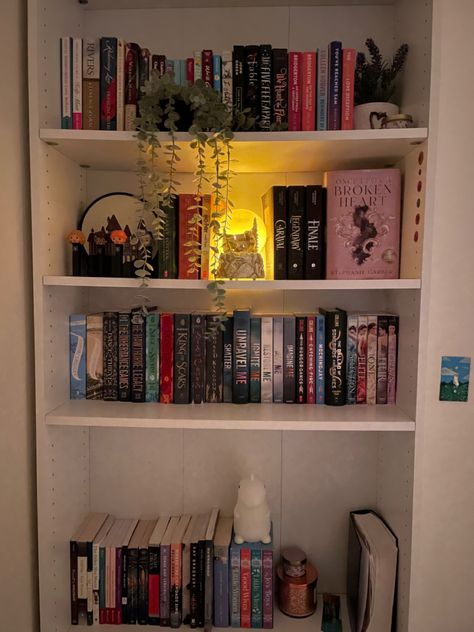 Book Girl Room Aesthetic, Book Worm Room Aesthetic, Bookshelf In Room, Bookshelf Organization Ideas, Aesthetic Book Shelf, Dream Bookshelf, Book Shelf Ideas, Aesthetic Bookshelves, Bookshelf Inspo