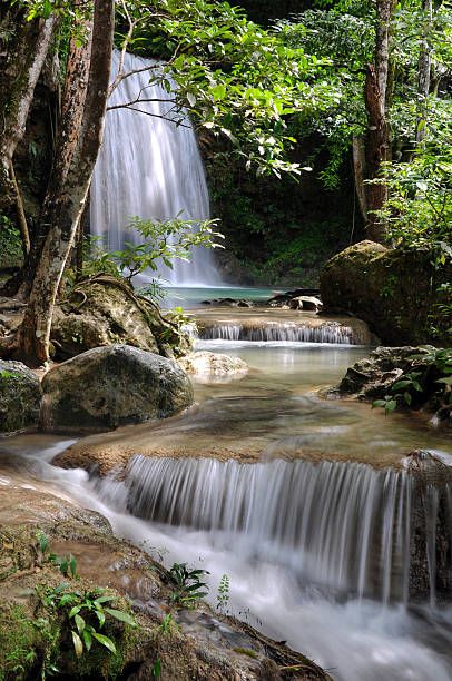 Waterfall In Forest, Waterfall Tattoo, Waterfall Wallpaper, Waterfall Pictures, Forest Waterfall, Waterfall Paintings, Waterfall Landscape, Scenery Pictures, Air Terjun