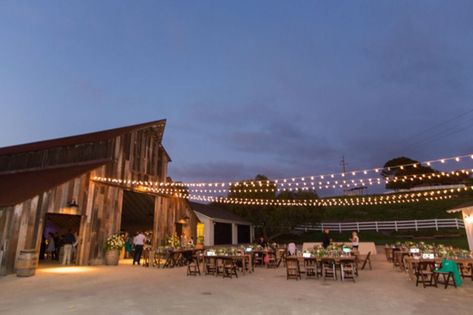 Western Barn Wedding, Western Wedding Ideas, Wedding Themes Ideas, Outdoor Barn Wedding, Western Weddings, Vintage Wedding Centerpieces, California Wedding Venue, Barn Parties, Themes Ideas