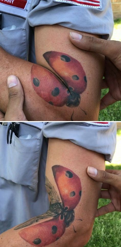 Transforming Tattoos, Ladybug Tattoos, Moving On Tattoos, Mother Tattoos For Children, Ladybug Tattoo, Bumble Bee Tattoo, Beetle Tattoo, Lady Bug Tattoo, Bug Tattoo