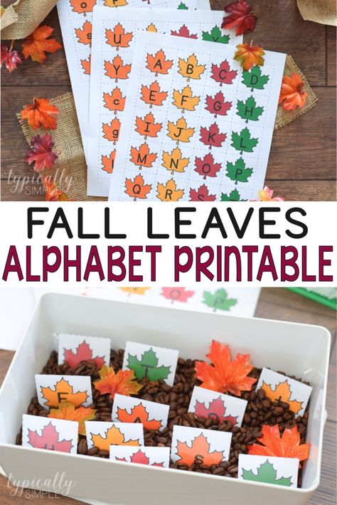 Have fun learning with these fall leaves alphabet printables! There are so many hands-on activities that can be done with these printables to build early literacy skills. Fall Leaves Activities, Fall Lesson Plans, Literacy Activities Preschool, October Activities, Fall Preschool Activities, Fall Lessons, Fall Kindergarten, Printables For Kids, Preschool Literacy