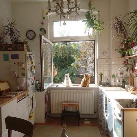 🧇 on Twitter: "… " Cozy Apartment Decor, Appartement Design, Two Cats, Cozy Kitchen, Aesthetic Rooms, Dream Apartment, House Room, Kitchen Window, Cozy Apartment