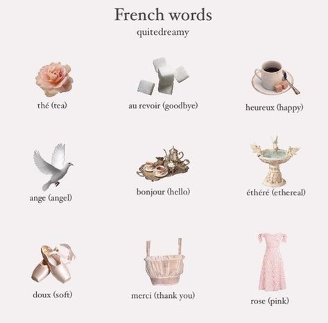 pinterest — 𝑜𝒽𝓃𝑜𝒸𝒶𝓇𝑜𝓁𝒾𝓃𝑒 Ethereal Nicknames, Pretty French Words, Cute French Words, Dreamy Quotes, Basic French Words, French Language Lessons, Etiquette And Manners, French Phrases, Cute Words