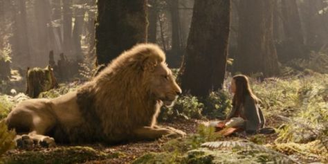 Is This The Real Lesson Behind the Women’s March? Narnia Prince Caspian, The Chronicles Of Narnia, Prince Caspian, Mola Ali, Womens March, Chronicles Of Narnia, Taking Over The World, Fictional World, Bible Art