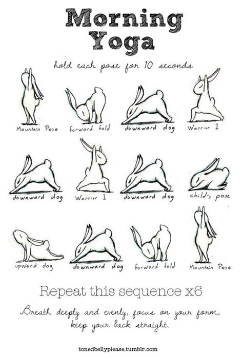 This is a great way to start any morning. I would recommend trying this cute sequence below – repeat it about 6 times. Bunny Yoga, Yoga Foto's, Yoga Positionen, Motivasi Diet, Yoga Ashtanga, Latihan Yoga, Sup Yoga, Poses For Beginners, Killer Workouts