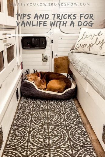 Sprinter Van Conversion With Dogs, Campervan Dog Bed, Van Conversion With Dog Crate, Van Living With Dog, Vanlife With A Dog, Dog Friendly Van Conversion, Van Life With Dog, Van Living Diy, Van Living Hacks