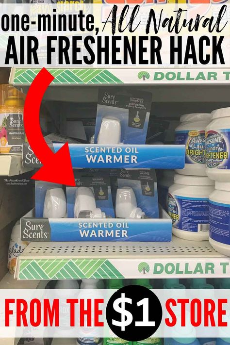 Need An ALL NATURAL Air Freshener Solution? Here's a Dollar Tree DIY Deodorizer Hack You Can Make In Under 1-Minute. This Is The Easiest, Best Plugin Air Freshener Solution! #deodorizer #airfreshener #allnaturalairfreshener #naturalairfreshener #roomfreshener #automaticairfreshener #howtomakeyourhousesmellgood #makeyourhousesmelllikeaspa #roomairfreshener #roomdeodorizer #airfreshenerhack #essentialoil #essentialoils #airfreshenerDIY #airfreshenerhomemade #airfreshenerdiyplugs #dollartree Diy Deodorizer, Diy Outdoor Movie Screen, Room Deodorizer, Homemade Air Freshener, Body Craft, Dollar Tree Hacks, Diy Air Freshener, Home Air Fresheners, House Smell Good