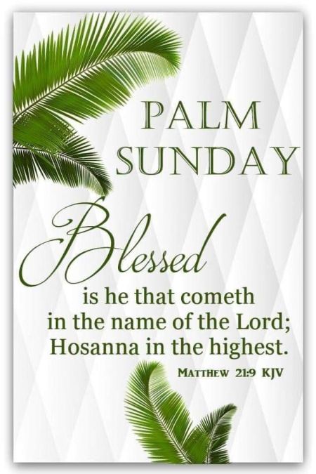 Palm Sunday Quotes Jesus, Palm Sunday Quotes, Sunday Bible Verse, Church Bulletin Covers, Happy Palm Sunday, Corak Sulaman, Palm Sunday Decorations, Hosanna In The Highest, Palm Sunday Crafts