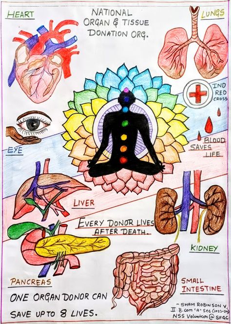 Organ Donation Poster, Donation Poster, Science Cartoons, Art Competition Ideas, Poster Rangoli, Butterfly Art Drawing, Oil Pastel Drawings Easy, Anime Korea, Whimsical Art Journal