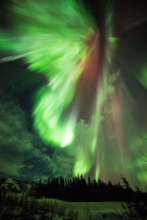 Geomagnetic Storm, Matka Natura, Northern Lights (aurora Borealis), Aurora Borealis Northern Lights, Space Pictures, Tromso, Space Flight, Queenstown, The Night Sky