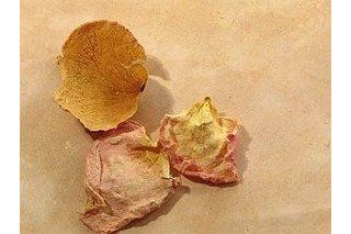 How to Make Handmade Beads from Dried Rose Petals | eHow Dried Flower Beads, How To Make Potpourri, Rose Petal Beads, Memorial Beads, How To Make Rose, Rose Crafts, Dried Rose Petals, Preserved Roses, The Homestead