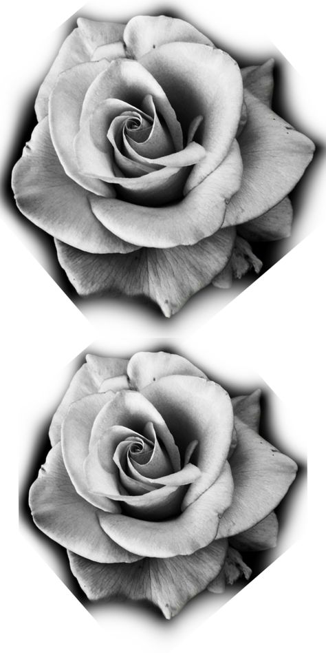 Rose Tattoo Design Realistic, Realism Rose Tattoo Design, Rose Drawing Tattoo Realistic, Rose Tattoo Design For Men, Rose Design Tattoo, Rose Tattoo Realistic, Realism Rose Tattoo, Flower Tattoo Designs For Men, Floral Tatoos