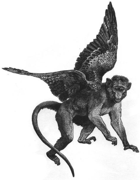 Dealing With The Very Real Dangers Of Flying Monkeys | by Julie Von Nonveiller Cairnes | The Educated Empath | Medium Cluster B, Monkey Illustration, Emotional Vampire, Monkey Tattoos, Flying Monkeys, In Denial, Monkey Art, The Wonderful Wizard Of Oz, Arte Obscura