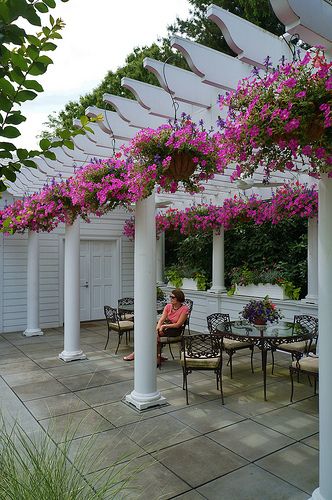 Petunia hanging baskets (2) | by KarlGercens.com GARDEN LECTURES Petunia Hanging Baskets, Backyard Fence Decor, Hanging Plants Outdoor, Flower Trellis, Patio Pergola, Building A Pergola, Pergola Design, Hanging Flower Baskets, Flower Pot Garden