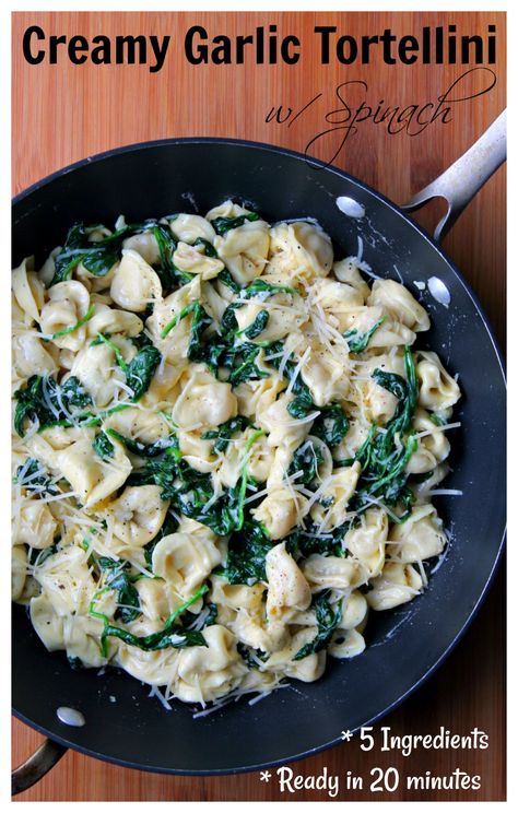 Creamy Garlic Tortellini is ready in 20 minutes and this recipe uses only 5 ingredients in addition to the tortellini pasta! Can be a main dish or a side dish. Feel free to toss some pre-cooked or leftover chicken in the pan if you want some protein. This is a pasta dish that the entire family will enjoy. Tortellini With Spinach, Garlic Tortellini, Cheese Tortellini Recipes, Tortellini Alfredo, Spinach Alfredo, Spinach Tortellini, Garlic Spinach, Tortellini Recipes, Grilled Pork Tenderloin