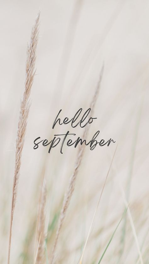 Hallo September Aesthetic, Wallpaper Aesthetic February, Hello September Wallpapers, September Instagram Story, September Vision Board, September Aesthetic Month, Hello September Aesthetic, September Wallpaper Iphone, September Aesthetic Wallpaper