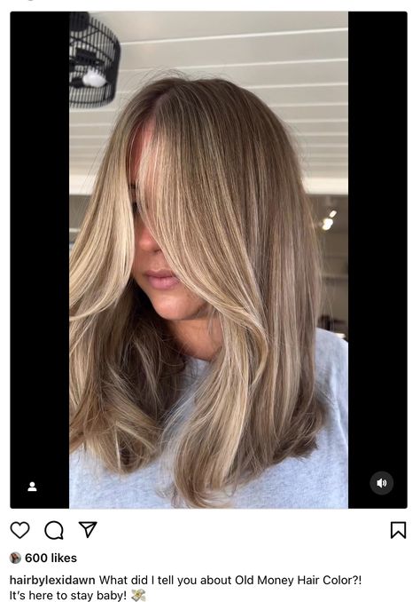 Blonde To Brown Lowlights, Medium Length Haircut With Balayage, Dark Brown Hair With Face Framing Blonde Highlights, Dark Blonde Ashy Hair, Zara Mcdermott Hair, Chic Long Bob, Mykenna Dorn Hair, Oat Blonde Hair, Dark Blonde With Face Framing Highlights