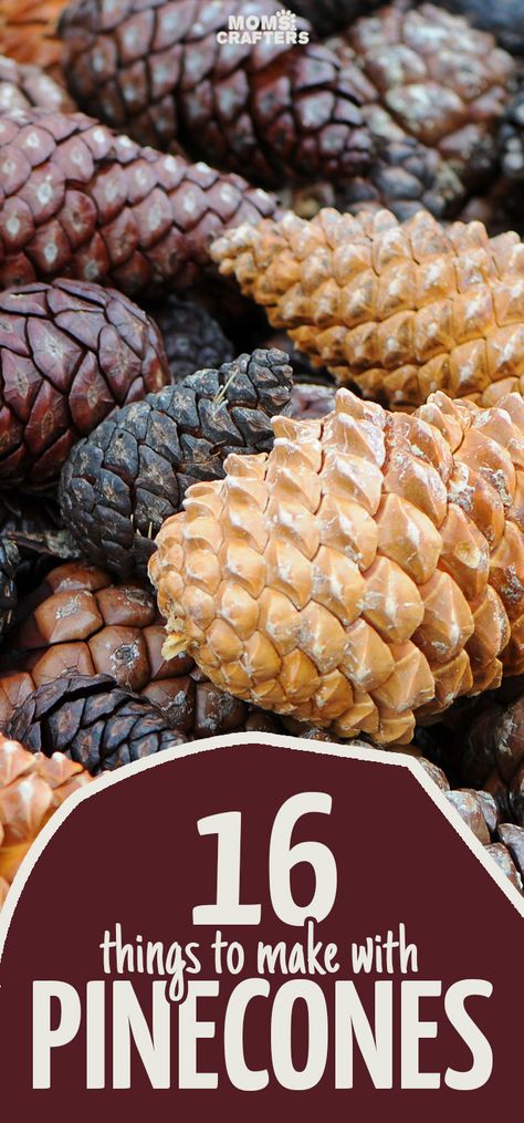 Autumn brings with it my favorite free craft supply: pine cones! Click for 16 perfect pinecone crafts for kids, adults and everyone in between! You'll find some great winter and holiday decor here, ideas for autumn crafting, adn easy DIY tutorials to get you going! Free Craft Supplies, Fall Crafts For Adults, Pinecone Crafts, Pine Cone Art, Acorn Crafts, Cone Crafts, Arts And Crafts For Adults, Arts And Crafts For Teens, Christmas Crafts For Adults