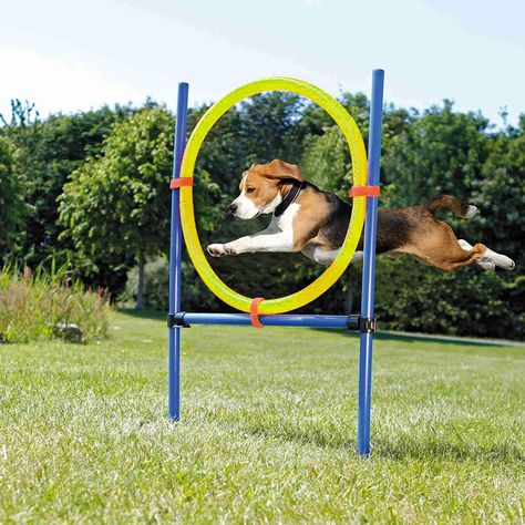 Pet Prime Dog Outdoor Agility Ring Dog Puppy Exercise & Agility Training Equipment 21.7   in Diameter Obstacle Course For Dogs, Dog Agility Training, Dog Ball Launcher, Pet Station, Dog Training Equipment, Agility Training For Dogs, Human Anatomy Art, Agility Training, Dog Ball