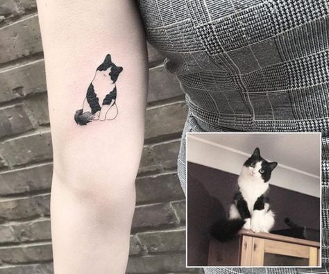 https://www.thepaws.net/cat-outline-tattoos/4/ Trendy Cat Tattoo, Tattoos To Get For Your Cat, Cute Cats Tattoo, Tattoo For Cat Lovers, Real Cat Tattoo, Cat Tattoo On Arm, Sentimental Cat Tattoos, Cat Toy Tattoo, Personal Cat Tattoo