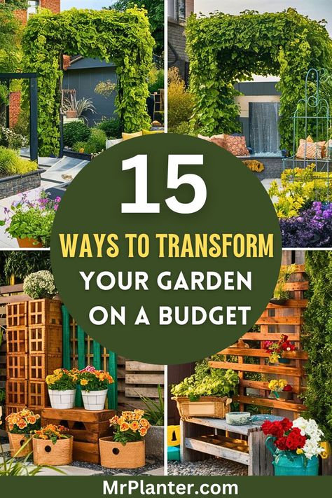 Budget-friendly transformation ideas for a small backyard patio Garden On A Budget, Frugal Gardening, Budget Landscaping, Low Water Gardening, Design Hacks, Gardening Inspiration, Upcycle Garden, Budget Garden, Garden Ideas Cheap