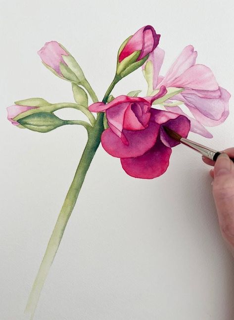 Wet On Wet Technique, Art Tutorials Watercolor, Drawing Flowers, Watercolor Pictures, Diy Watercolor Painting, Watercolor Flower Art, Watercolor Painting Techniques, Watercolor Flowers Paintings, Watercolor Paintings Tutorials