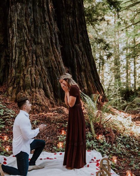 Wedding Proposal Ideas Engagement, Romantic Ways To Propose, Outdoor Proposal, Cute Proposal Ideas, Proposal Pictures, Ways To Propose, Proposal Photography, The Redwoods, Proposal Photos