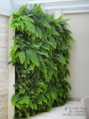 vertical garden of ferns                                                                                                                                                                                 More Garden Swings, Arbor Bench, Taman Air, Garden Wall Designs, Tanaman Indoor, Ferns Garden, Vertical Garden Design, Pergola Swing, Gardens Ideas