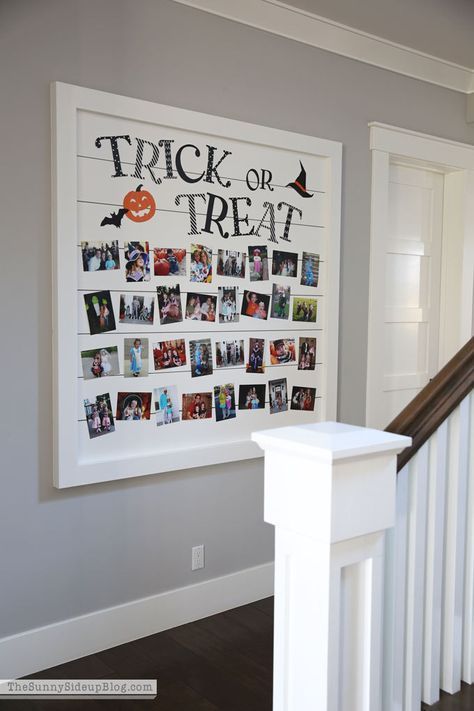 Shiplap Trick or Treat Halloween Picture Display - The Sunny Side Up Blog Sports Pictures Display, Halloween Cupcakes, Halloween Photos, Diy Remodel, Living Room Remodel, School Pictures, Halloween Pictures, Room Remodeling, Finishing Basement