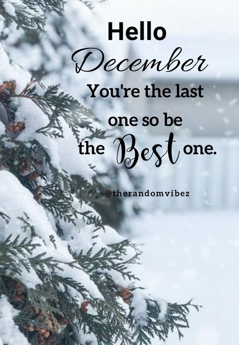 Hello December! You're the last one so be the best one. #Hellodecemberquotes #Welcomedecemberquotes #Hellowinterquotes #Happydecemberquotes #Decemberquotes #2020Decemberquotes #December2020quotes #Decembermonthquotes #Happymonthquotes #Decemberimages #Funnydecemberquotes #Decemberpicturequotes #Decemberpics #Beautifuldecemberquotes #Festivequotes #Winterquotes #Festivemonthquotes #Christmasmonthquotes #Decemberwintermonth #Decembercaptions #Instaquotes #Instastories #Decemberberimagesforfb 1 December Quotes, Hello December Month, December 1st Quotes, Bye November, Welcome December Quotes, Hello December Pictures, Hello December Quotes, Hello December Images, Last Month Of The Year