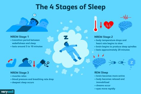 Sleep (NREM and REM Sleep Cycles ... Rem Sleep Cycle, Pattern Meaning, Stages Of Sleep, Sleep Studies, Rem Sleep, Sleep Cycle, When You Sleep, Circadian Rhythm, Sleep Pattern