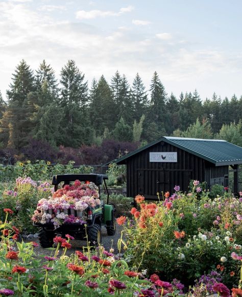 Farmluxe Flower Farm Greenhouse, Backyard Flower Farm, Pick Your Own Flowers Farms, Farmstead Aesthetic, Flower Farm Aesthetic, Flower Farm Ideas, Flower Farm Layout, Fall Landscape Ideas, Farm Luxe