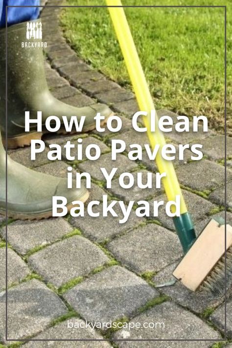 Patios are a great place for outdoor entertaining. But they can fill up with dirt, leaves and other debris that cover the paver stones or bricks. Here's what you need to know about how to clean patio pavers in your backyard so it looks like new again! Cleaning Pavers, Landscaping Around Patio, Office Oasis, Outdoor Patio Pavers, How To Clean Stone, Paver Steps, How To Clean Brick, Brick Paver Patio, Clean Patio