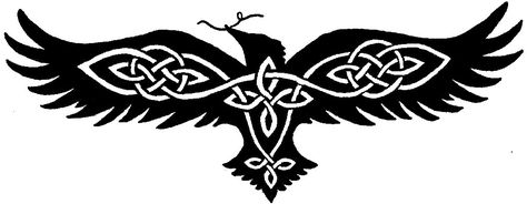 Celtic Raven Tattoo, Rabe Tattoo, Celtic Animals, Celtic Raven, Celtic Tattoo, Illustration Tattoo, Crow Tattoo, Theme Tattoo, Norse Tattoo