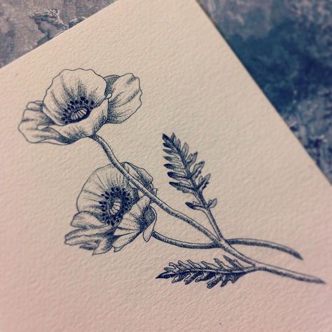 See this Instagram photo by @beaubealart • 122 likes Black Poppy Tattoo, California Poppy Tattoo, Poppy Flower Drawing, Tat Inspiration, Poppy Flower Tattoo, Tattoo Black And White, Poppy Tattoo, Flower Tattoo Drawings, Kunst Tattoos