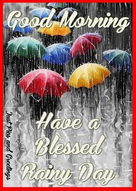 Rainy Morning Quotes, Rainy Day Images, Good Morning Rain, Rainy Good Morning, Good Morning Rainy Day, Rainy Day Quotes, Say Good Morning, Quotes Good Morning, Morning Rain