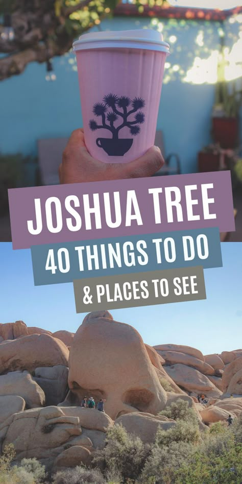 photos of Joshua Tree and text "Joshua Tree 40 things to do & places to see" Joshua Tree Hikes, Joshua Tree Park, Tree Town, Wyoming Vacation, Cholla Cactus, Skull Rock, Trip To Grand Canyon, California Travel Guide, Joshua Tree California