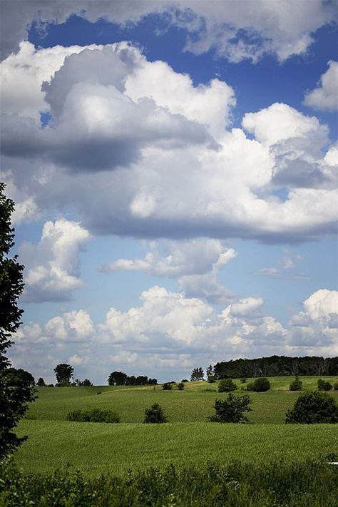 clouds/blue sky Clouds Over Field, Clouds In Blue Sky, Sky Reference, Blue Sky Landscape, Big Clouds, Puffy Clouds, Clouds Landscape, Cumulus Clouds, Watercolor Clouds