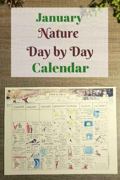 January Nature Day by Day Calendar January Nature, Homeschool Curriculum Planning, Nature Day, Calendar Cute, Nature Calendar, Reading Log Printable, Calendar January, Brain Based Learning, January Calendar